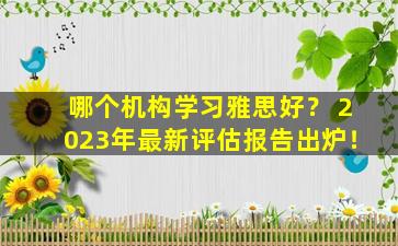 哪个机构学习雅思好？ 2023年最新评估报告出炉！